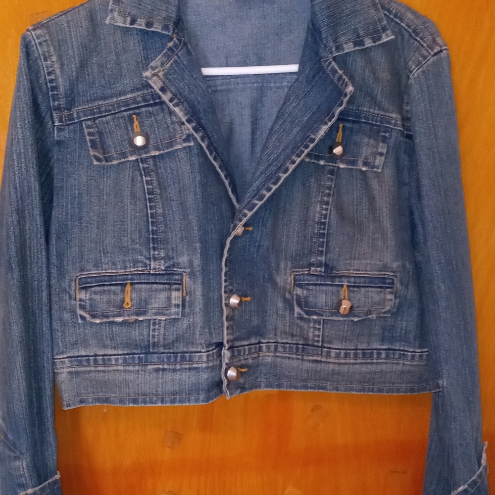 Stretchy Crop Denim Jacket